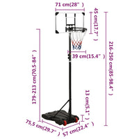 Basketbalstandaard 216-250 cm polycarbonaat transparant