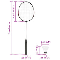 Badmintonset met 2 rackets, net en opbergkoffer 292x30x152 cm